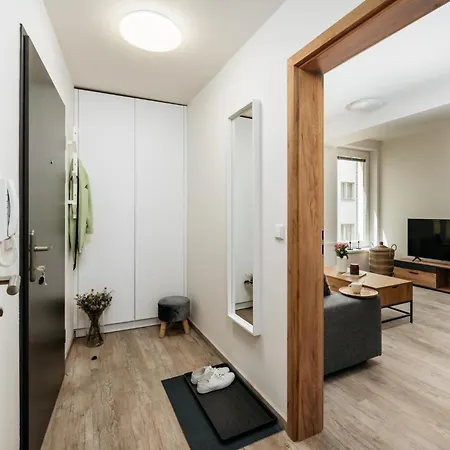 Three Bedroom Aparment With Terrace By Days * Praga