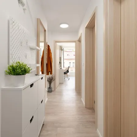 Three Bedroom Aparment With Terrace By Days פראג