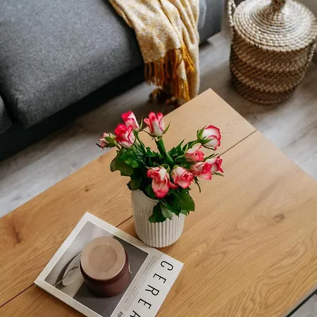 דירה Three Bedroom Aparment With Terrace By Days *